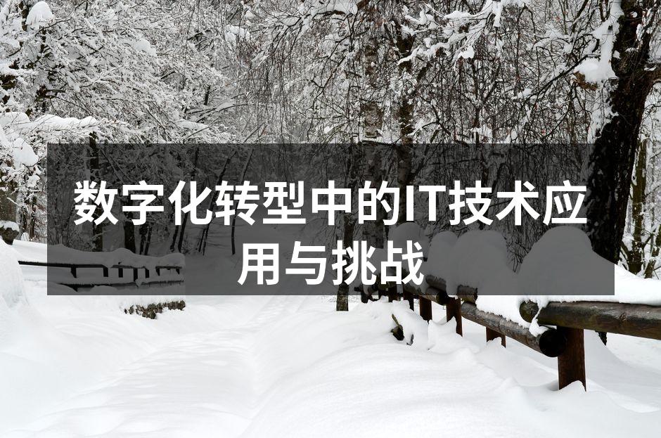数字化转型中的IT技术应用与挑战